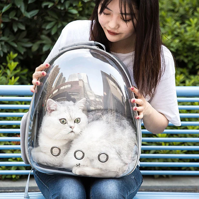 딩동펫 투명우주선 백팩 딩동펫 반려동물 투명우주선 백팩