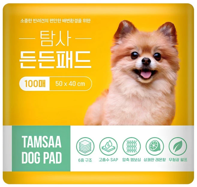 탐사 고흡수 든든패드 레몬향, 100개입, 1개
